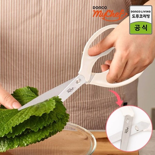 확대된 대표 image1