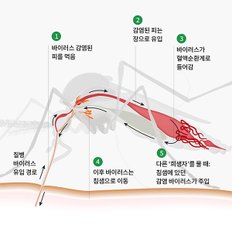 국보 킬라바트위스트 100g 5g 20개 장구벌레 모기 유충 방역 살충 가루 산제 과립