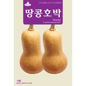 땅콩호박 씨앗 10립 버터넛 스쿼시 종자