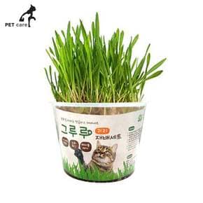 재배세트 영양제 귀리 고양이 그루루