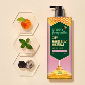 그린 프로폴리스 바디워시 프레시 피치 900g