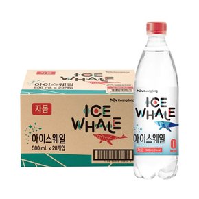 아이스웨일 자몽 500ml 20병입