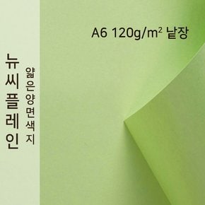 종이문화 뉴씨플레인 얇은 양면색상지 120g A6 No.13 연연두색 낱장 1매 색지
