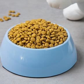 밥이보약 CAT 빛나는 피모 2kg