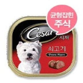 시저 쇠고기 100g 1box 24ea 애견 통조림 간식 (WA2204B)