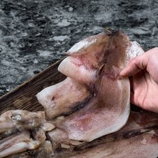 손질 반건조 오징어 왕특대 10마리 1.7kg