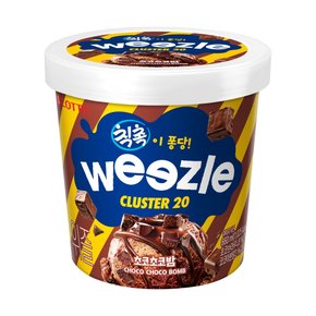 롯데 위즐 초코초코밤 660ml