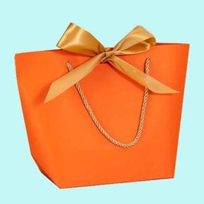ABM 리본 단색 쇼핑백 소형 오렌지 10개입 선물포장 (S10985887)