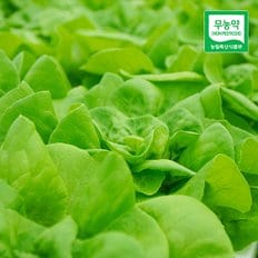 산지직송 친환경 유러피안 샐러드 1kg (3종)