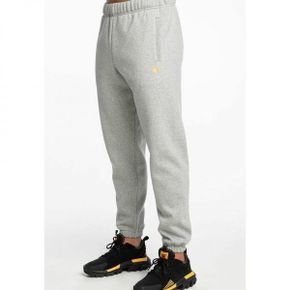 3761543 Carhartt WIP CHASE - Tracksuit bottoms grey 59295256