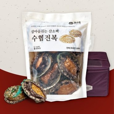 어부마실 [산지직송] 바다 품은 전복세트 실속3호(1kg 9-10미) (신세계백화점 보냉가방)