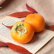 씨없는 반시(연시) 3kg(21-24개입)