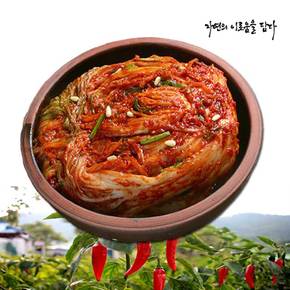 전라도 빛고을 포기김치 7kg