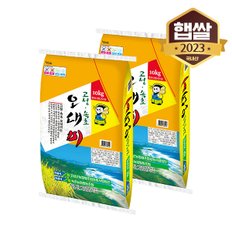 [2023년산] 고성군농협 고성속초 오대미 20kg/상등급