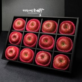 [9/2(월) 순차출고][과일愛]사과 선물세트 특4호 (12과 - 4kg)
