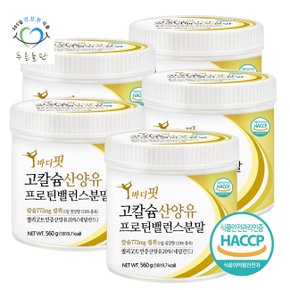 바디핏 고칼슘 산양유 프로틴 밸런스 단백질 분말 가루 haccp 인증 560gx5통