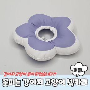 반려동물용품 꽃피는 강아지 고양이 쿠션 넥카라 퍼플 L 애완용품