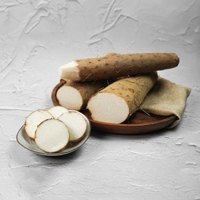 [더조은] 신선한 국내산 장마 2kg 실속
