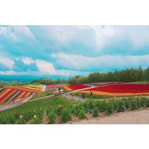 대구 [이커머스 전용시크릿 특가][삿포로시내특급+온천호텔2박] 일곱빛깔 여름로망스 북해도 4일