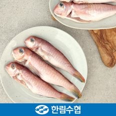 [제주 한림수협] 제주 통 옥돔 6미 700g(350g*2팩) / 냉동