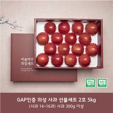 [명품] 저탄소 gap인증 사과세트2호 5kg(14~16입)/부직포가방포함