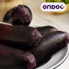 온도씨 국내산 싱싱한 여주 금보라 생 가지 16개입내외 2.5kg(상)