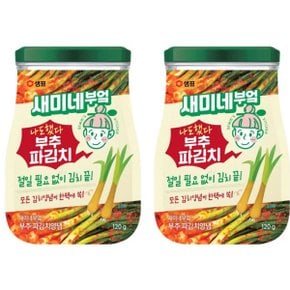 샘표 새미네 부추파김치양념 120g 2개 (원산지_상세설명에 표시)