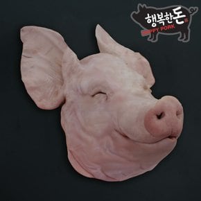 [국내산 냉동]돼지머리/고사용돼지머리/편육용 1두분 5.5kg