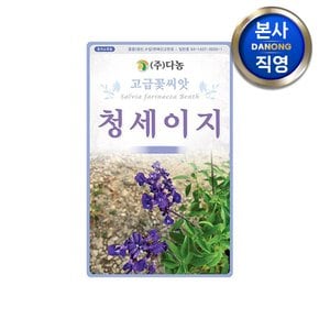 청세이지 씨앗 0.5g . 블루세이지 청사루비아 샐비어 청살비아 허브 꽃씨 종자