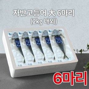 제주직송_제주 자반고등어 大 1호(6마리)