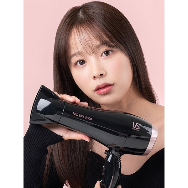 2000W 파워 드라이어 (VSD120K)