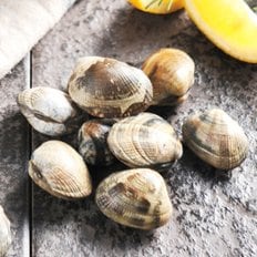 인정푸드 [오늘의바다] 국내산 바지락 2kg 내외