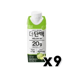 빙그레 더단백 멜론 멸균팩 프로틴음료 250ml x 9개