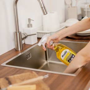 기름때제거 키친클리너 750ml 가스렌지/후드