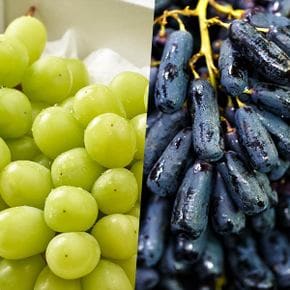 애플청포도 오톰청포도 1kg + 블랙사파이어 1kg (총 2kg)