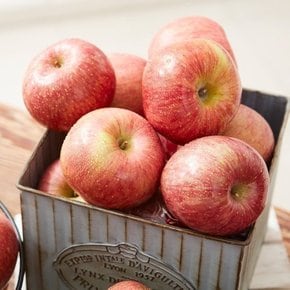 산지직송 고랭지 경북 영주 풍기 못난이 금계사과 2kg 사이즈 랜덤