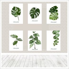 보테니컬2 6종 몬스테라 식물 그림 패브릭 천 포스터 가리개천