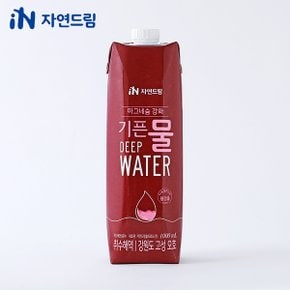 마그네슘강화 기픈물 1,000ml x (12개입) (멸균종이팩생수)