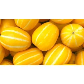 아삭달콤 꿀당도 성주 참외 3kg 중과 (10-15과)