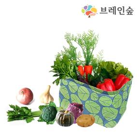 [브레인숲] 말랑말랑 실물야채18종 놀이세트