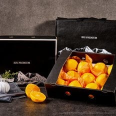 제주직송  황금향 선물용 2.5kg 중과 10-12과+부직포가방