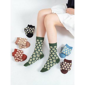 1258  데이지자카드양말