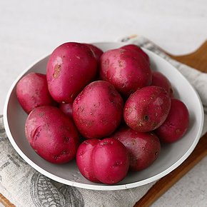 24년수확 포슬포슬 괴산 햇 감자 빨간 홍영 감자 대왕 5kg