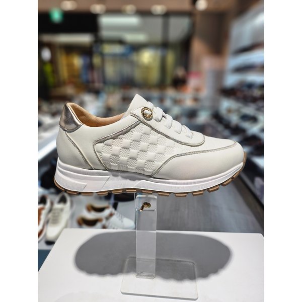 [파주점] 미셸 by 탠디 여성스니커즈 5cm 키높이운동화 x25211e