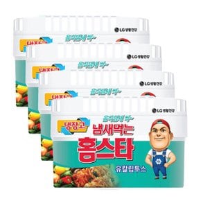 냄새먹는 홈스타 탈취제 냉장고용 유칼립투스 420g X 4개