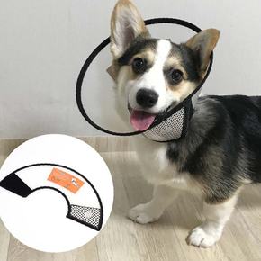고양이 강아지 목 깔대기 애견 애묘 넥 카라 목 가리게