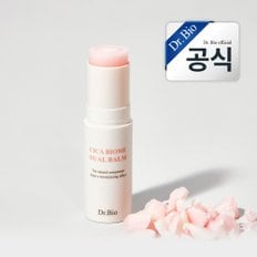 시카 바이옴 멀티 스틱밤 10g