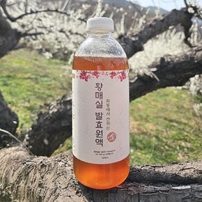 신선함이 담긴 매실 액기스 발효액 황매실청 황매실원액 1000ml