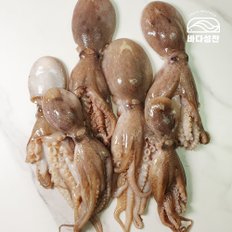 국내산 통주꾸미 1kg[냉동]