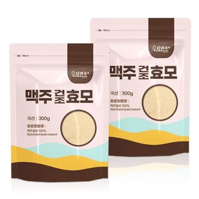 국산 맥주건조효모 600g(300gx2개) 맥주효모분말 가루 파우더